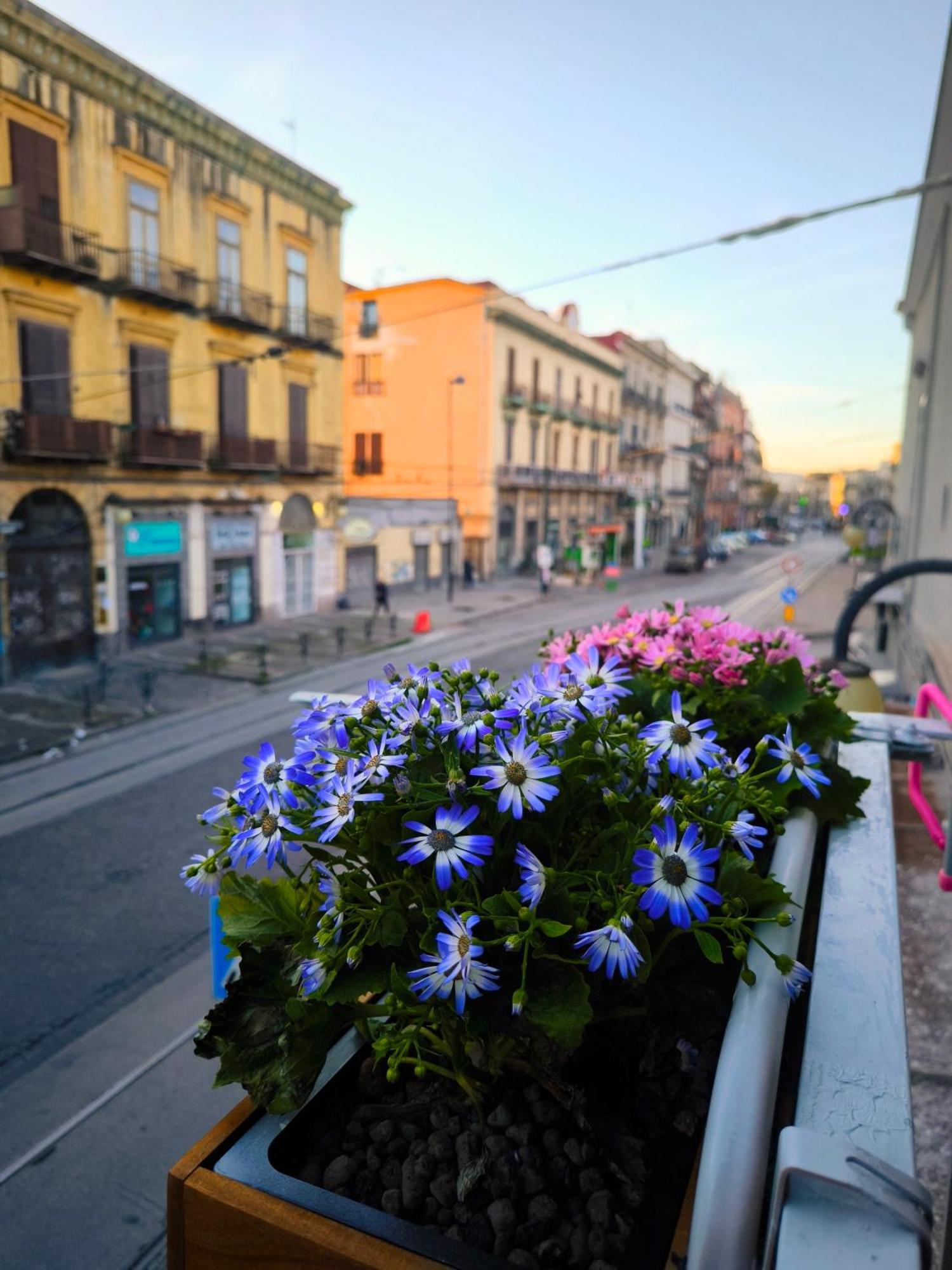 Casamira B&B Napoli Centrale Eksteriør bilde